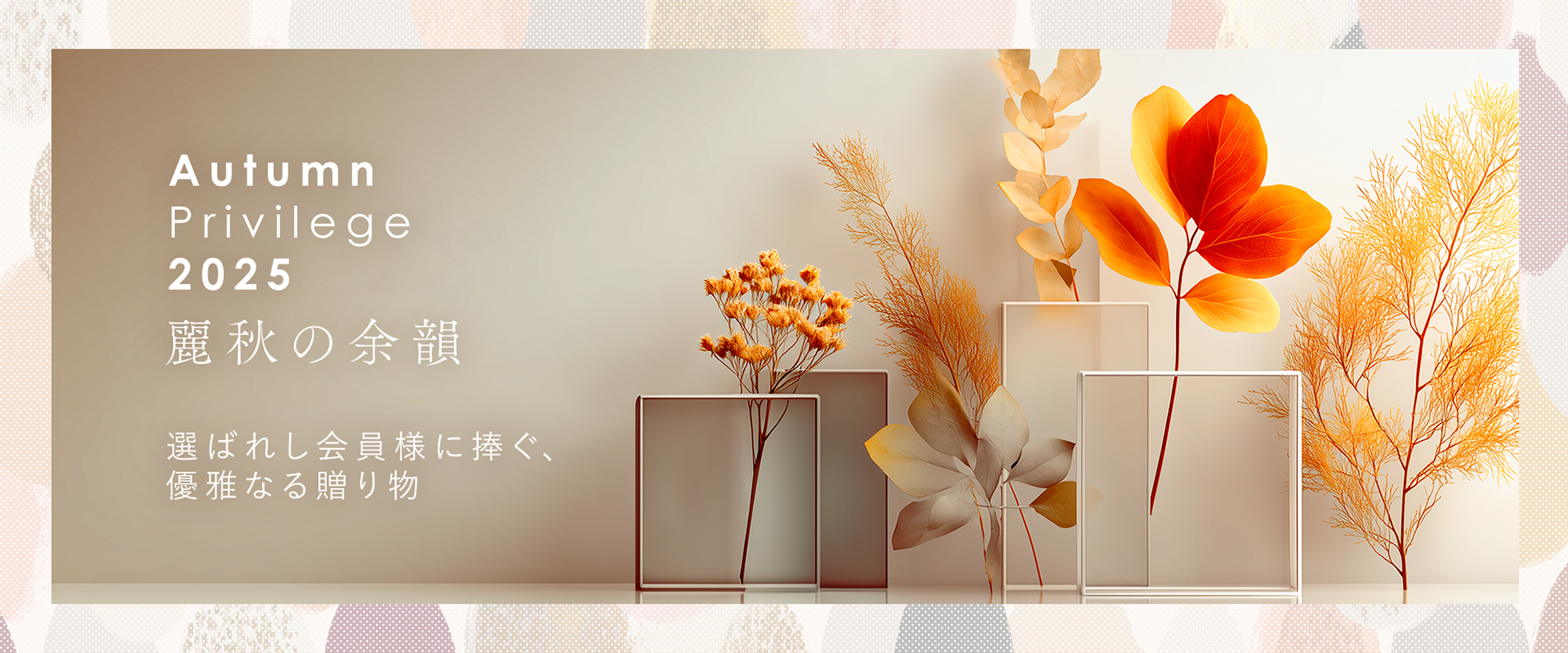 Autumn Privilege 2025 | 麗秋の余韻